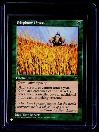 Elephant Grass U Visions NM