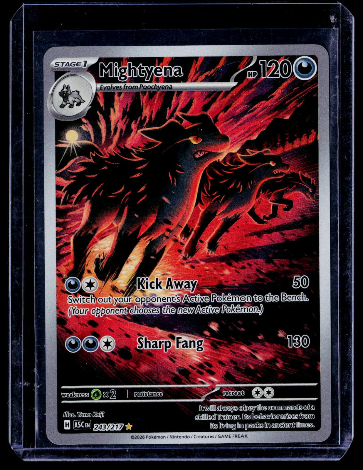 Mightyena Holo Illustration Rare ME: Ascended Heroes 243/217 NM