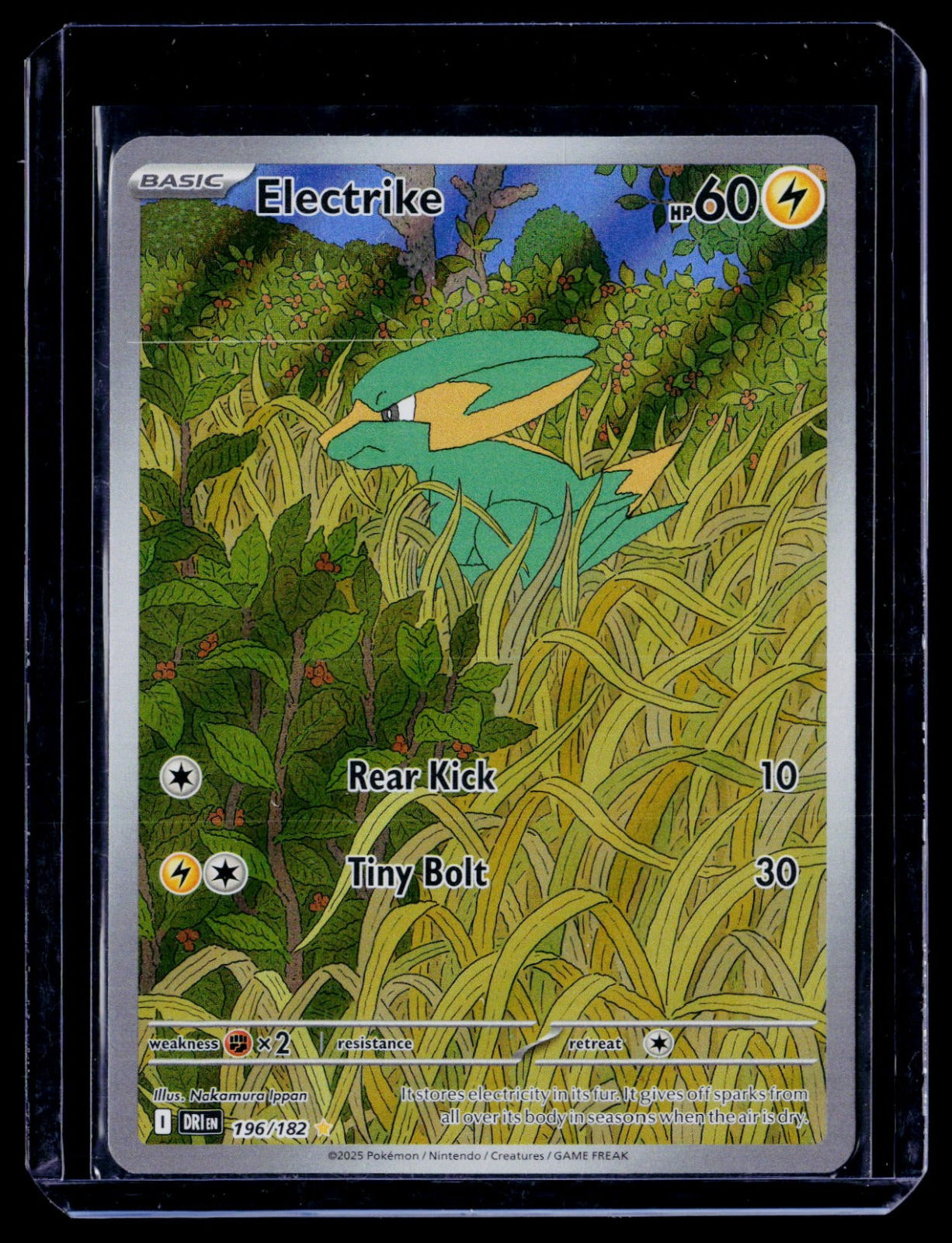 Electrike Holo Illustration Rare SV10: Destined Rivals 196/182 NM