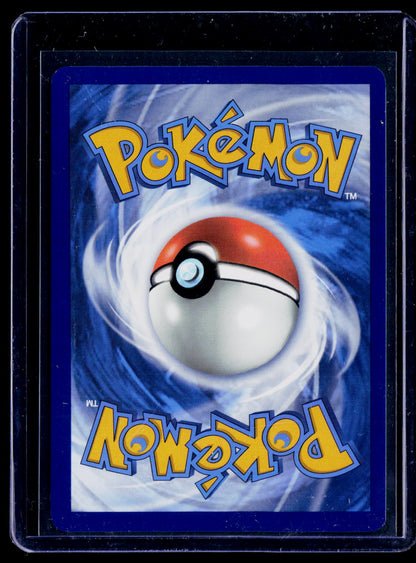 SWSH: Sword & Shield Promo Cards #SWSH291 Lucario VSTAR