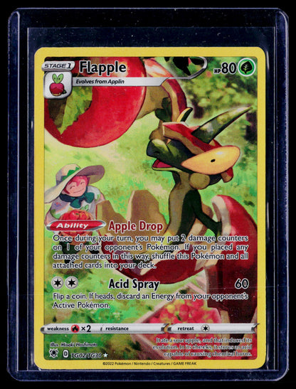 Flapple TG02