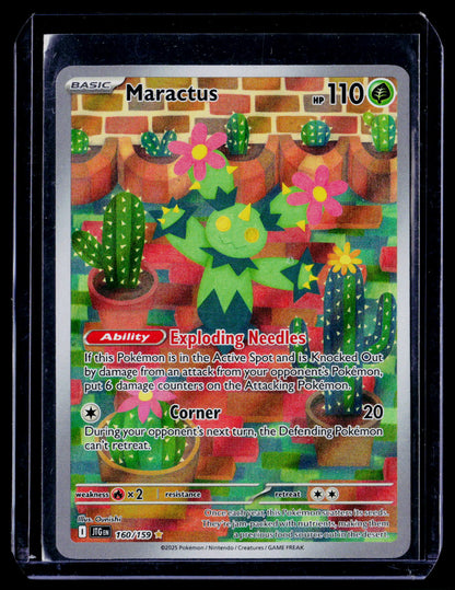 Maractus 160/159