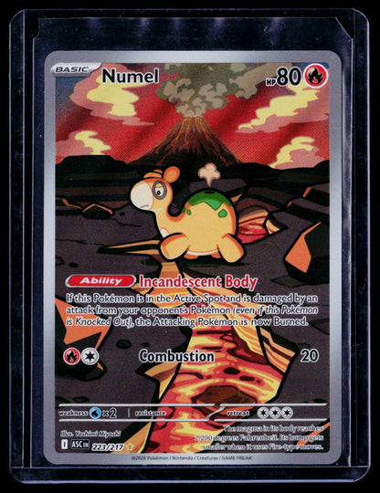 Numel Holo Illustration Rare ME: Ascended Heroes 223/217 NM