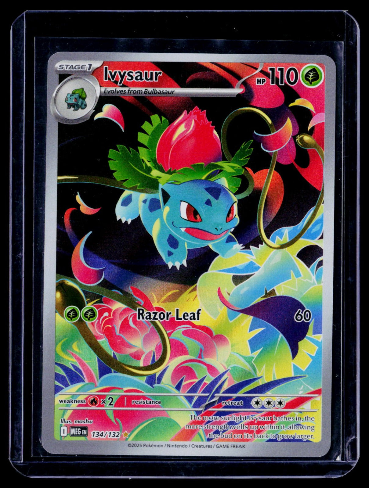 Ivysaur Holo Illustration Rare ME01: Mega Evolution 134/132 NM