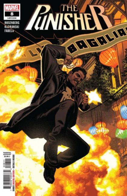 The Punisher, Vol. 12 #8 Cover