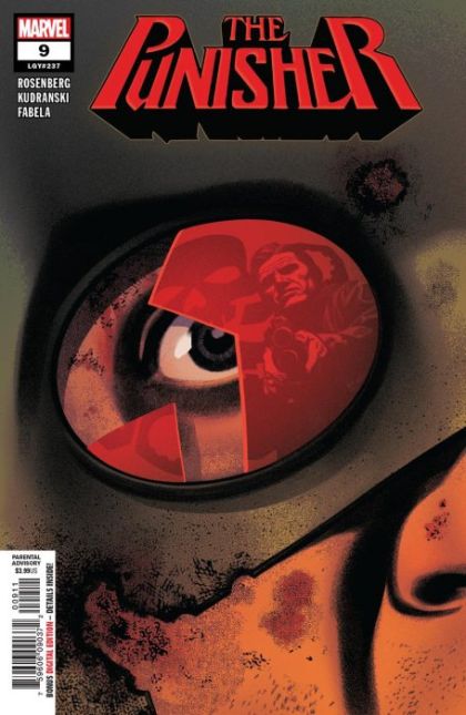 The Punisher, Vol. 12 #9 Cover
