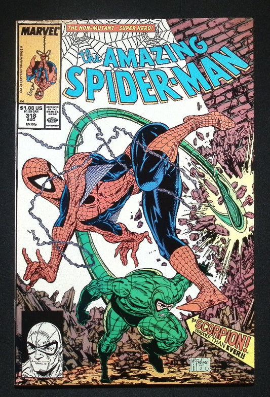 The Amazing Spider-Man, Vol. 1 #318A (Direct Edition)